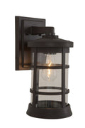 Resilience Medium Outdoor Wall Lantern in Bronze Finish by Craftmade