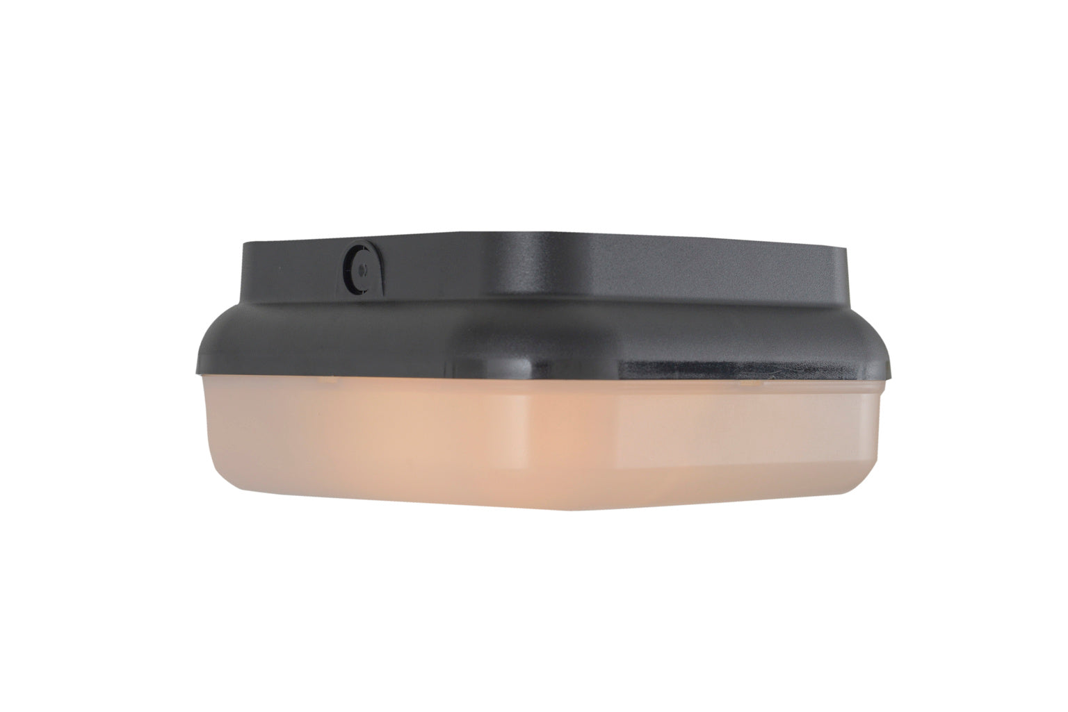 Resilience Outdoor Flush Mount Ceiling Light in Textured Black Finish by Craftmade