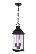 Bent Tree 2-Light Outdoor Hanging Lantern in Midnight Finish by Craftmade