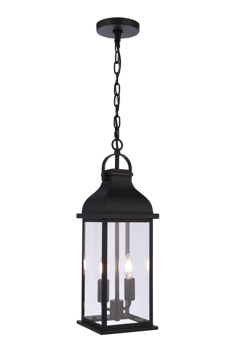 Bent Tree 2-Light Outdoor Hanging Lantern in Midnight Finish by Craftmade