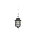 ADAMS OUTDOOR HANGING LIGHT - The Lamp Goods