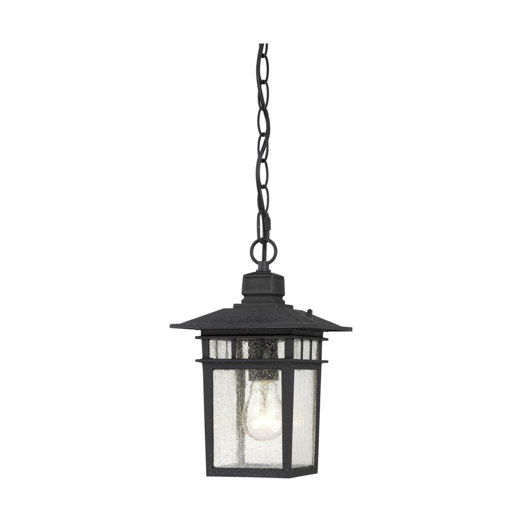 COVE NECK OUTDOOR HANGING LIGHT - The Lamp Goods