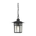 COVE NECK OUTDOOR HANGING LIGHT - The Lamp Goods